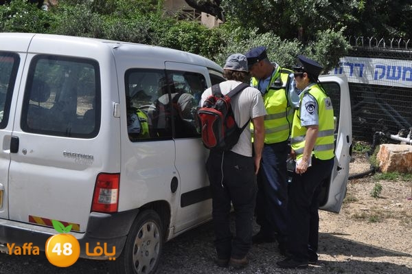 markabaflipramla428 (12).JPG